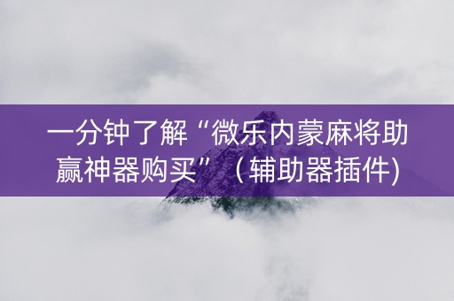 一分钟了解“微乐内蒙麻将助赢神器购买”（辅助器插件)