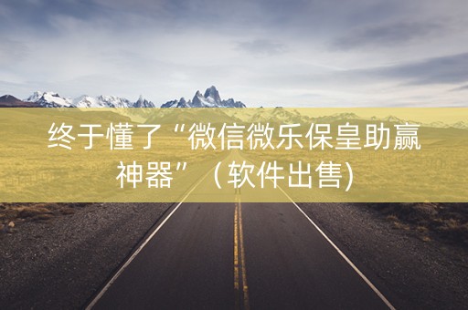 终于懂了“微信微乐保皇助赢神器”（软件出售)