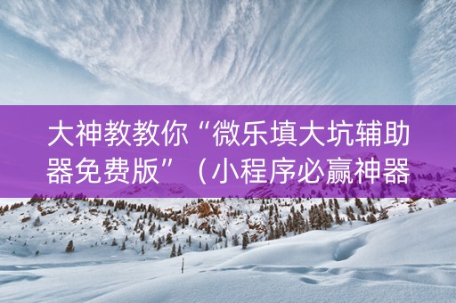 大神教教你“微乐填大坑辅助器免费版”（小程序必赢神器)