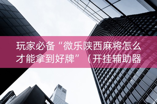 玩家必备“微乐陕西麻将怎么才能拿到好牌”（开挂辅助器插件)