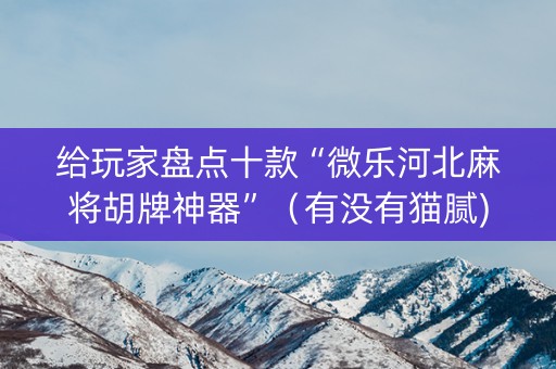 给玩家盘点十款“微乐河北麻将胡牌神器”（有没有猫腻)