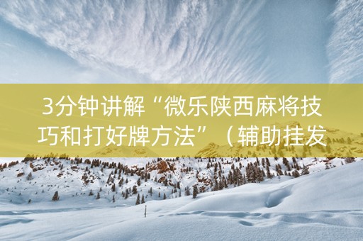 3分钟讲解“微乐陕西麻将技巧和打好牌方法”（辅助挂发牌规律)