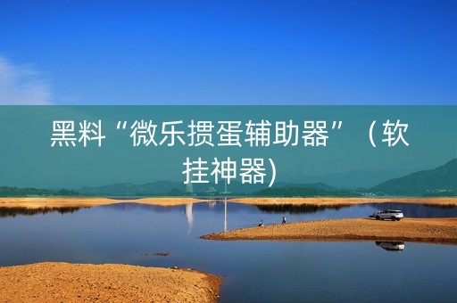黑料“微乐掼蛋辅助器”（软挂神器)