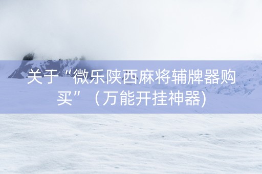 关于“微乐陕西麻将辅牌器购买”（万能开挂神器)