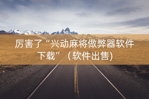 厉害了“兴动麻将做弊器软件下载”（软件出售)