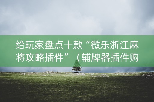 给玩家盘点十款“微乐浙江麻将攻略插件”（辅牌器插件购买)