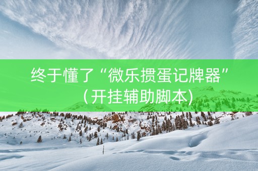 终于懂了“微乐掼蛋记牌器”（开挂辅助脚本)