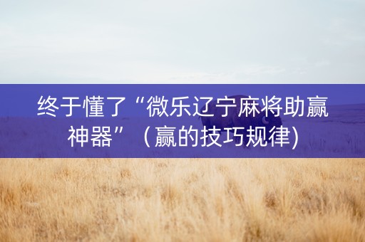 终于懂了“微乐辽宁麻将助赢神器”（赢的技巧规律)