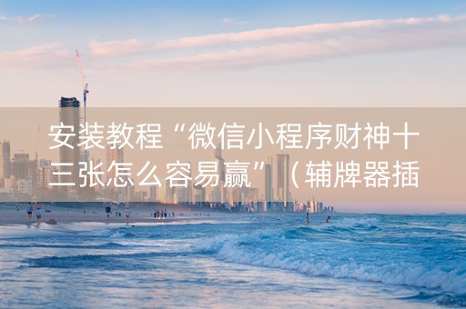 安装教程“微信小程序财神十三张怎么容易赢”（辅牌器插件购买)