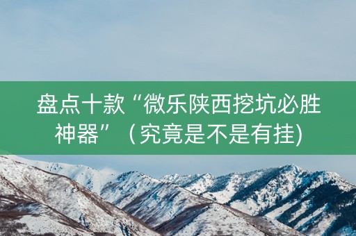 盘点十款“微乐陕西挖坑必胜神器”（究竟是不是有挂)