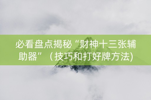 必看盘点揭秘“财神十三张辅助器”（技巧和打好牌方法)