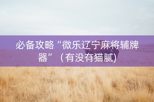 必备攻略“微乐辽宁麻将辅牌器”（有没有猫腻)