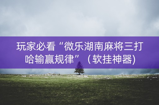玩家必看“微乐湖南麻将三打哈输赢规律”（软挂神器)