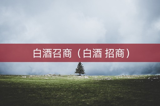 白酒召商（白酒 招商）
