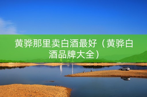 黄骅那里卖白酒最好（黄骅白酒品牌大全）