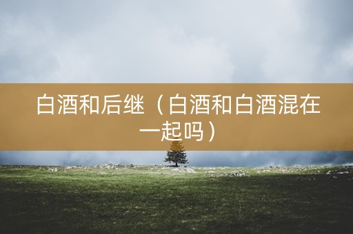 白酒和后继（白酒和白酒混在一起吗）