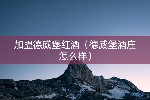 加盟德威堡红酒（德威堡酒庄怎么样）