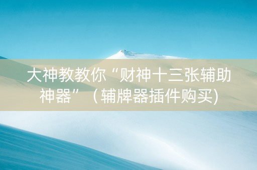 大神教教你“财神十三张辅助神器”（辅牌器插件购买)