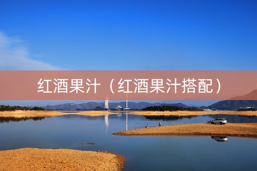 红酒果汁（红酒果汁搭配）