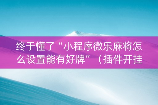 终于懂了“小程序微乐麻将怎么设置能有好牌”（插件开挂免费AI)