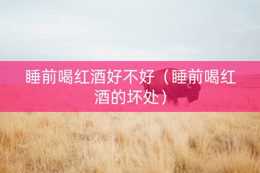 睡前喝红酒好不好（睡前喝红酒的坏处）