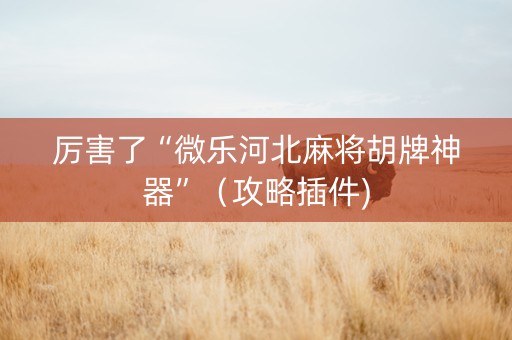 厉害了“微乐河北麻将胡牌神器”（攻略插件)