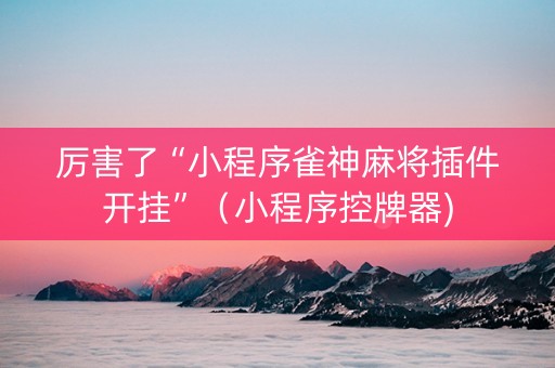 厉害了“小程序雀神麻将插件开挂”（小程序控牌器)