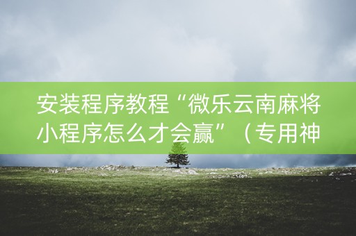安装程序教程“微乐云南麻将小程序怎么才会赢”（专用神器)