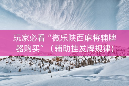 玩家必看“微乐陕西麻将辅牌器购买”（辅助挂发牌规律)