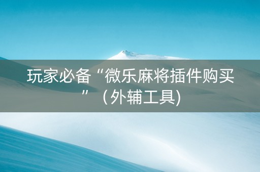 玩家必备“微乐麻将插件购买”（外辅工具)