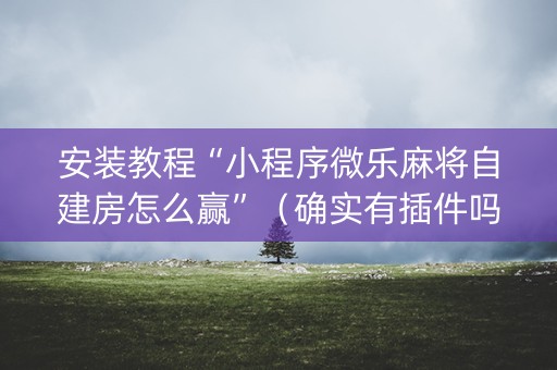 安装教程“小程序微乐麻将自建房怎么赢”（确实有插件吗)