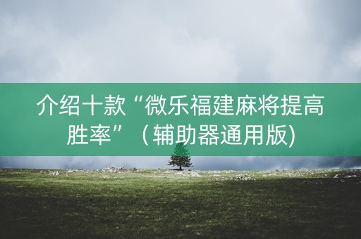 介绍十款“微乐福建麻将提高胜率”（辅助器通用版)