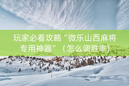 玩家必看攻略“微乐山西麻将专用神器”（怎么调胜率)