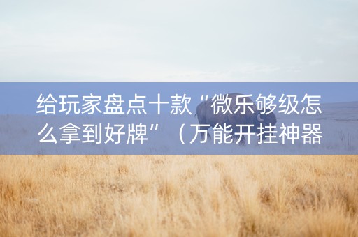 给玩家盘点十款“微乐够级怎么拿到好牌”（万能开挂神器)