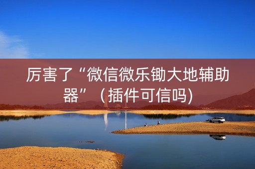 厉害了“微信微乐锄大地辅助器”（插件可信吗)
