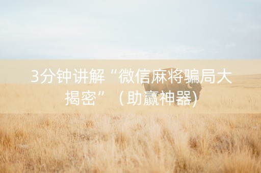 3分钟讲解“微信麻将骗局大揭密”（助赢神器)
