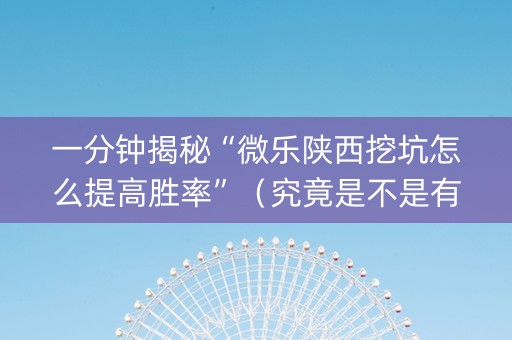 一分钟揭秘“微乐陕西挖坑怎么提高胜率”（究竟是不是有挂)