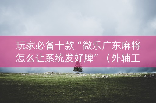 玩家必备十款“微乐广东麻将怎么让系统发好牌”（外辅工具)
