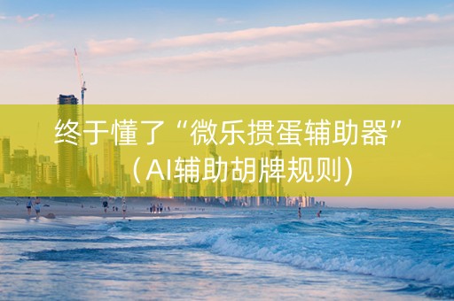 终于懂了“微乐掼蛋辅助器”（AI辅助胡牌规则)