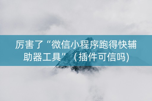 厉害了“微信小程序跑得快辅助器工具”（插件可信吗)