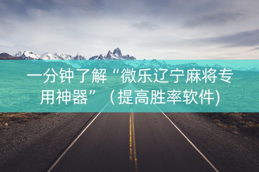 一分钟了解“微乐辽宁麻将专用神器”（提高胜率软件)