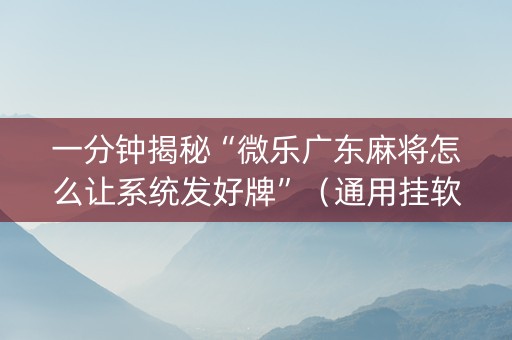 一分钟揭秘“微乐广东麻将怎么让系统发好牌”（通用挂软件多少钱)