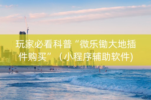 玩家必看科普“微乐锄大地插件购买”（小程序辅助软件)