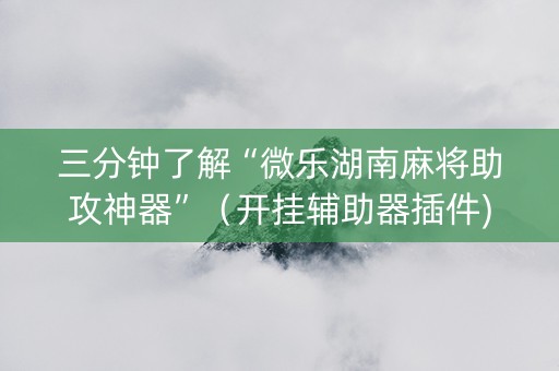 三分钟了解“微乐湖南麻将助攻神器”（开挂辅助器插件)