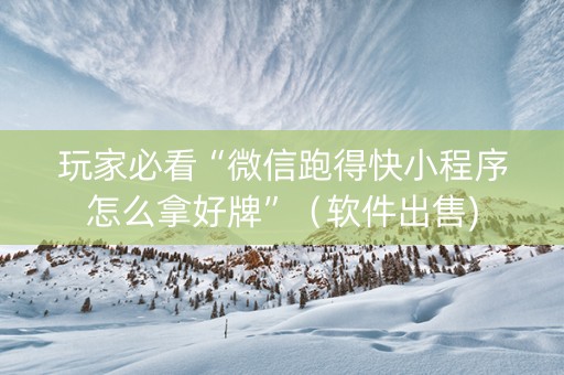 玩家必看“微信跑得快小程序怎么拿好牌”（软件出售)