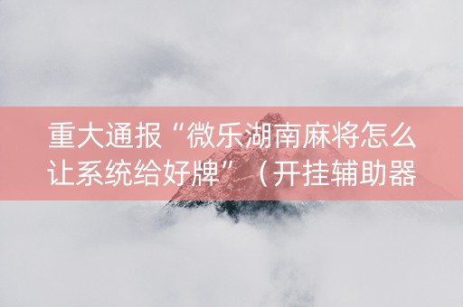 重大通报“微乐湖南麻将怎么让系统给好牌”（开挂辅助器插件)