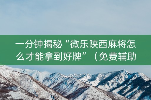 一分钟揭秘“微乐陕西麻将怎么才能拿到好牌”（免费辅助)