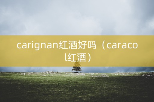 carignan红酒好吗（caracol红酒）