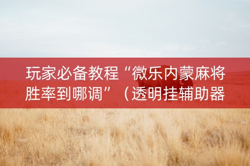 玩家必备教程“微乐内蒙麻将胜率到哪调”（透明挂辅助器)