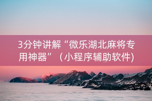 3分钟讲解“微乐湖北麻将专用神器”（小程序辅助软件)